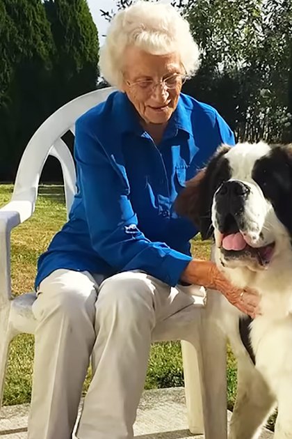 An older adult woman with a Saint Bernard dog in a garden setting during spring or summer with natural sunlight.