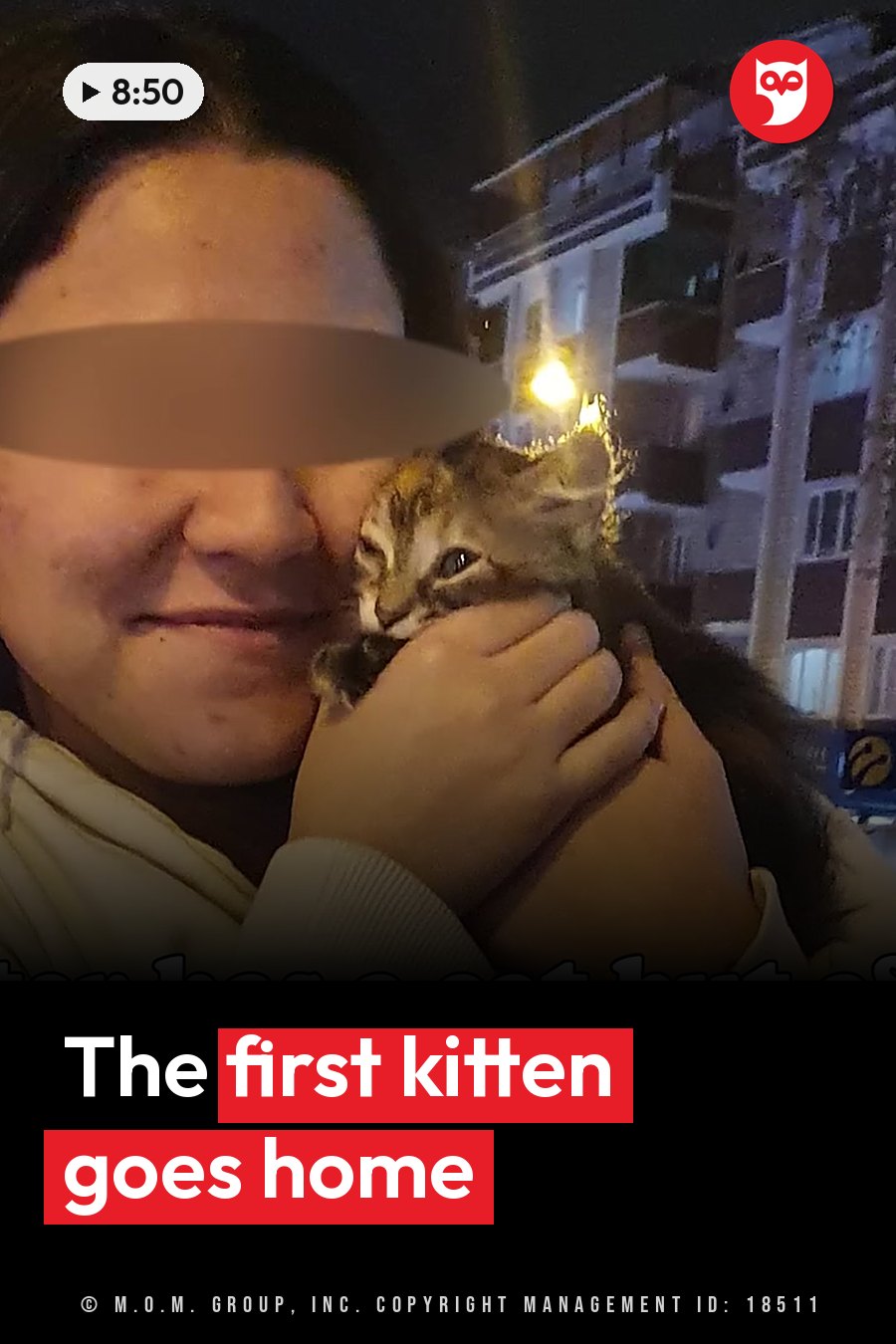 A young woman holds a small kitten close to her face outdoors at night near a building. A headline runs in white letters across the lower third.