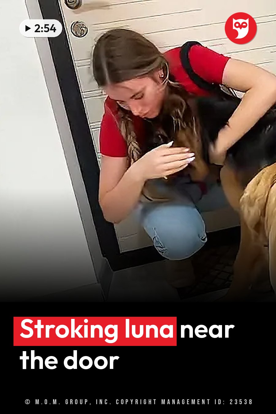 A woman kneels beside a dog and strokes the dog's back near a white door with black trim. A headline runs in white letters across the lower third.