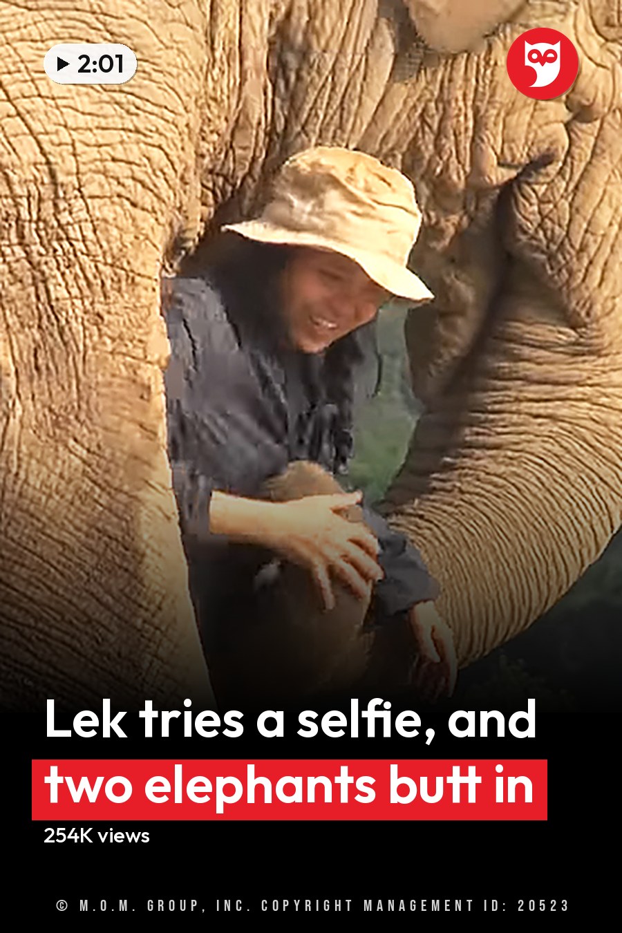 An adult female interacts with an Asian elephant in a natural setting during spring or summer. The headline runs in white letters across the lower third.