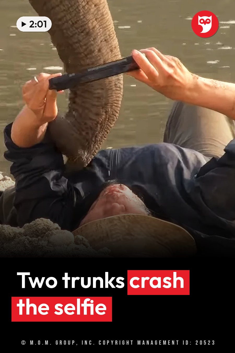 A person lies on their back near water, holding a black object up against an elephant's trunk. A headline runs in white letters across the lower third.