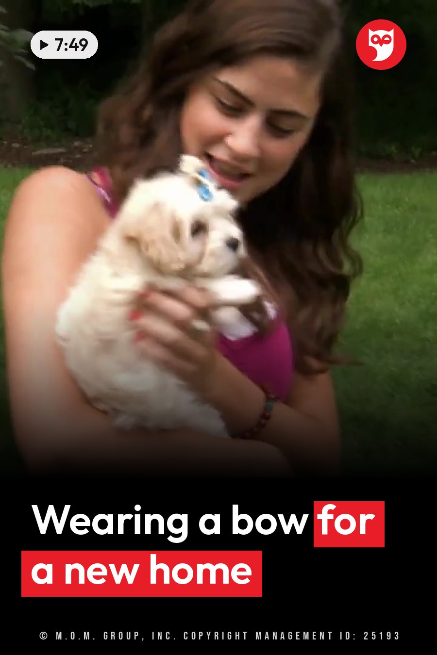 A smiling woman outdoors holds a small white puppy with a blue bow on top of the puppy's head. A headline runs in white letters across the lower third.