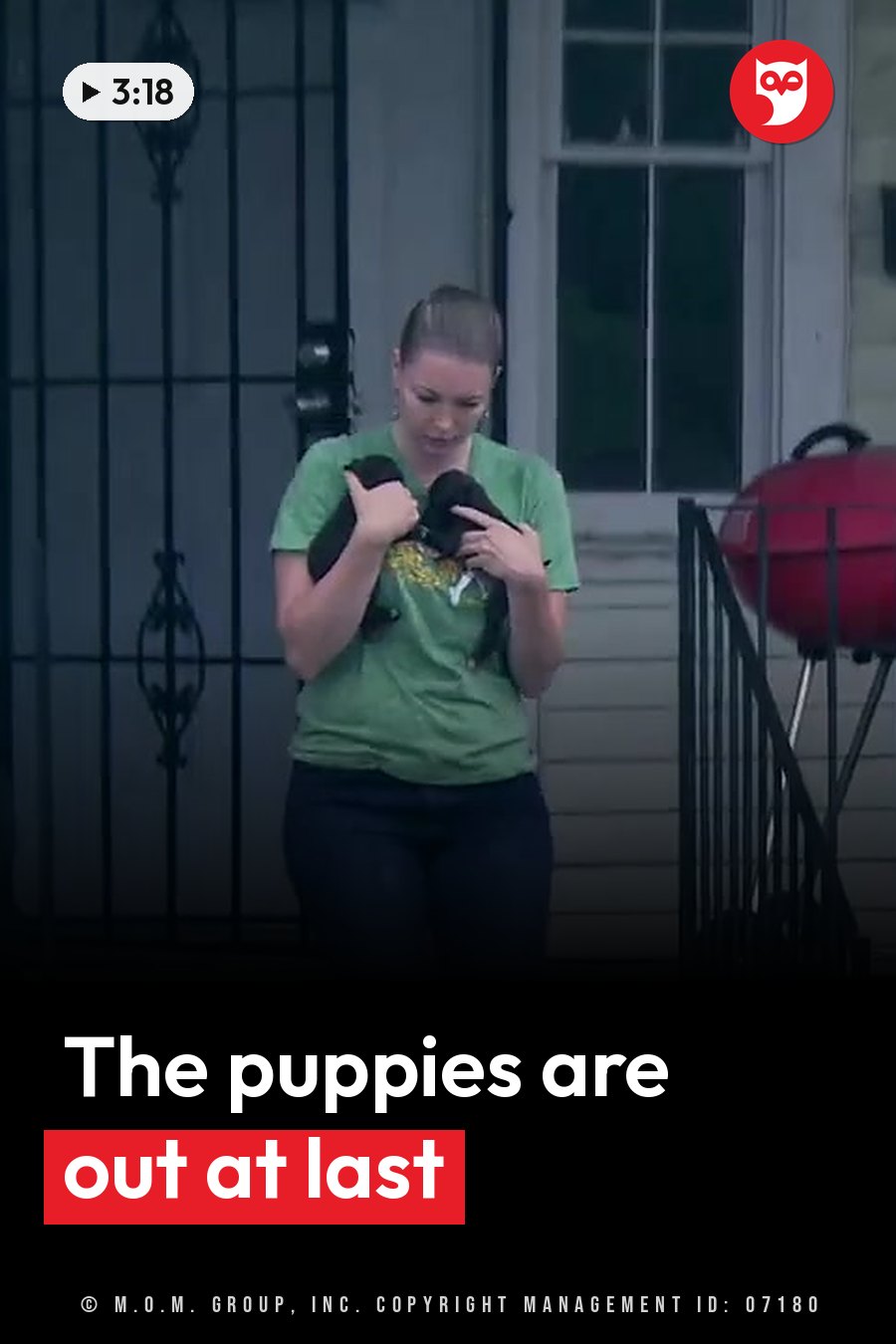 A woman holds two small black puppies while standing outside a house near a red grill. A headline runs in white letters across the lower third.