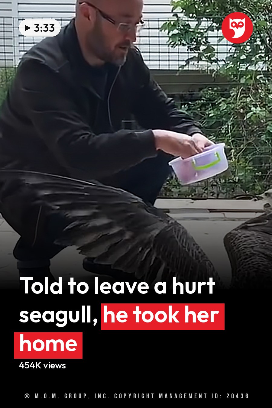 An adult male singer feeding common Herring Gull seagulls in a daytime outdoor park setting with tiled ground and greenery, natural light illuminating earthy tones from the environment. The headline runs in white letters across the lower third.