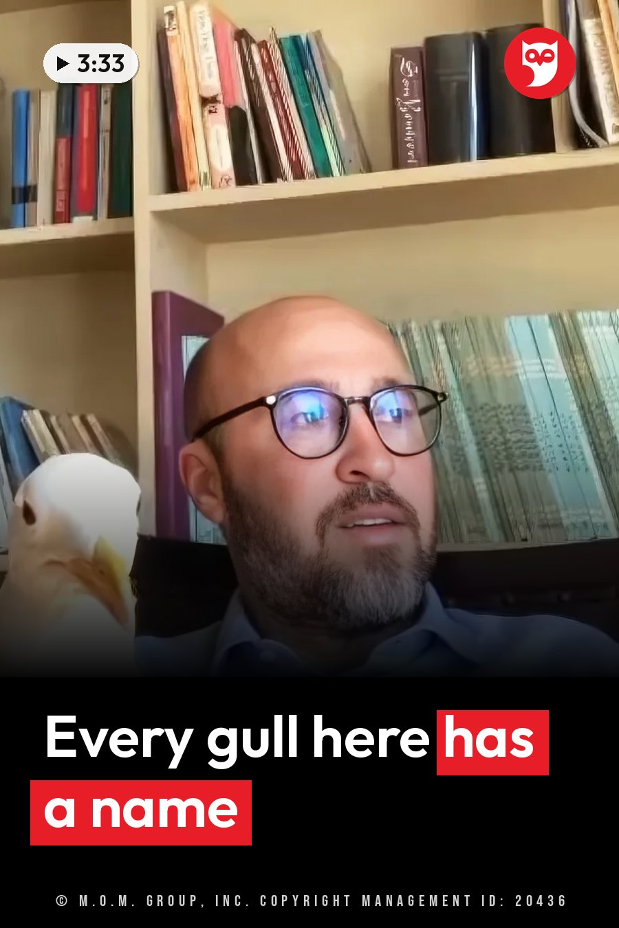 A bald man with glasses and a beard sits beside a white bird, with shelves full of books behind them. A headline runs in white letters across the lower third.