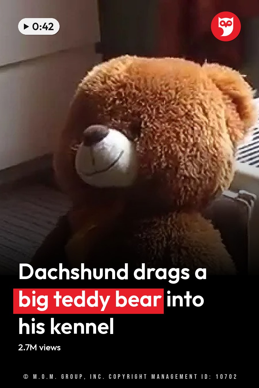 A brown teddy bear sits beside a white pet carrier on a rug near furniture. The headline runs in white letters across the lower third.