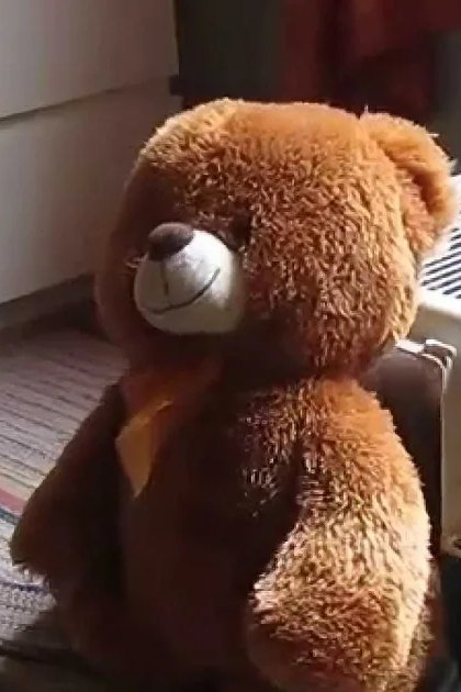 A brown teddy bear sits beside a white pet carrier on a rug near furniture.