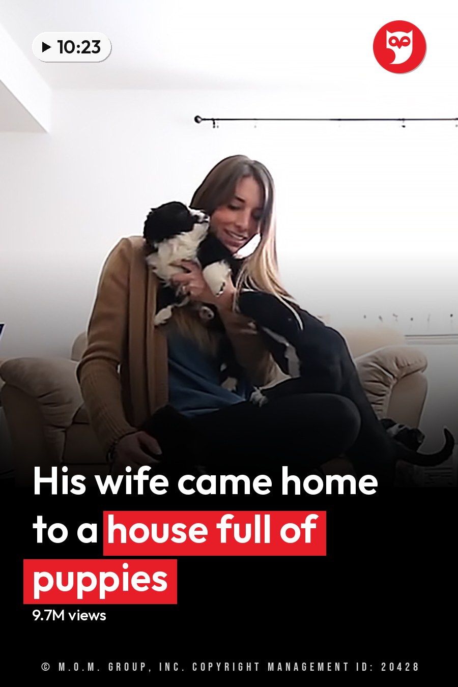A young adult female interacts with two dogs in a cozy living room setting during daytime. The headline runs in white letters across the lower third.
