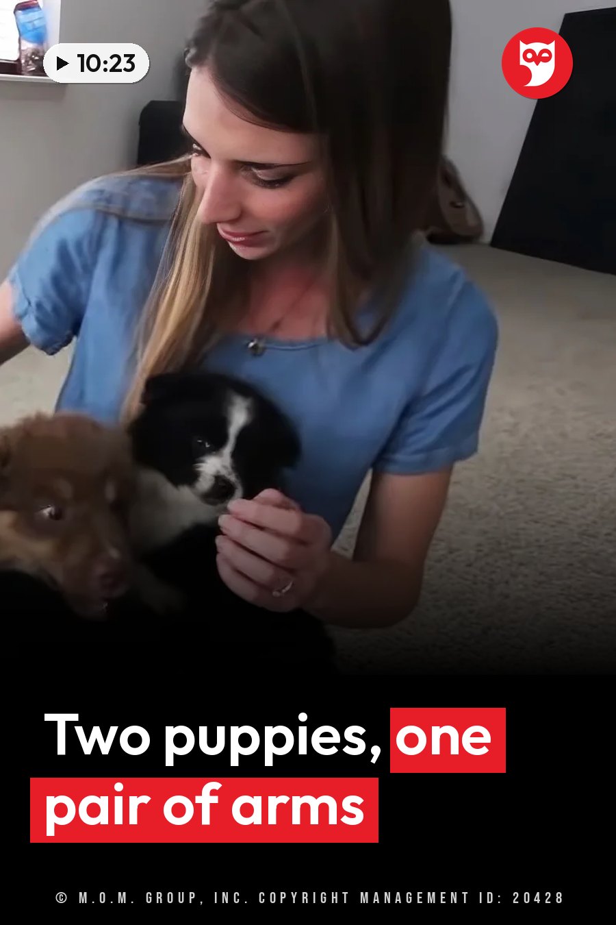 A woman holds two small puppies, one black and white and one brown, and looks down at them. A headline runs in white letters across the lower third.