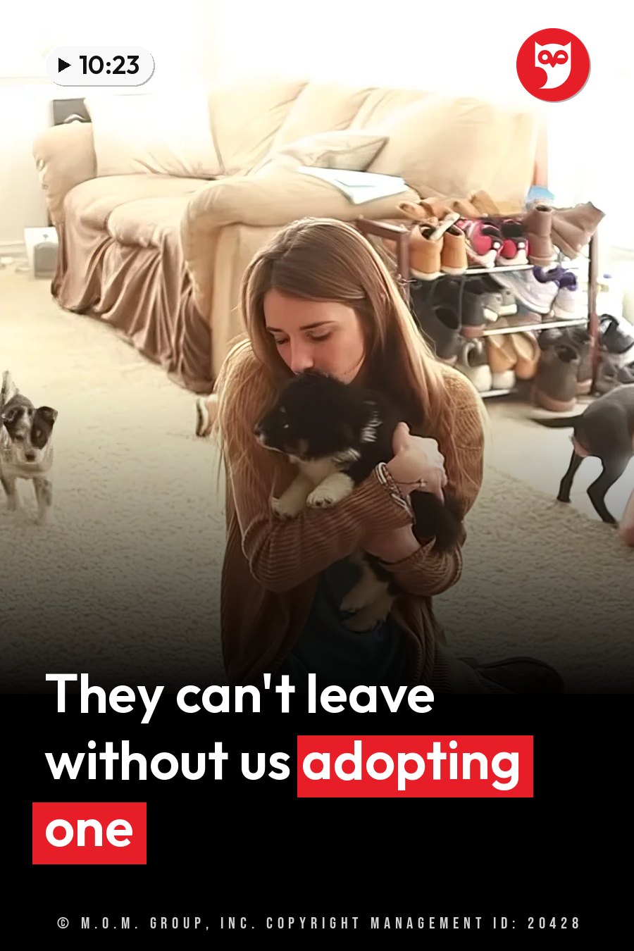 A woman holds a small black-and-white puppy while two other dogs stand nearby on a carpeted floor. A headline runs in white letters across the lower third.