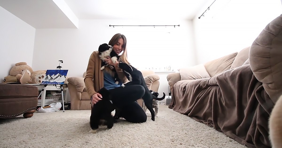 A young adult female interacts with two dogs in a cozy living room setting during daytime.
