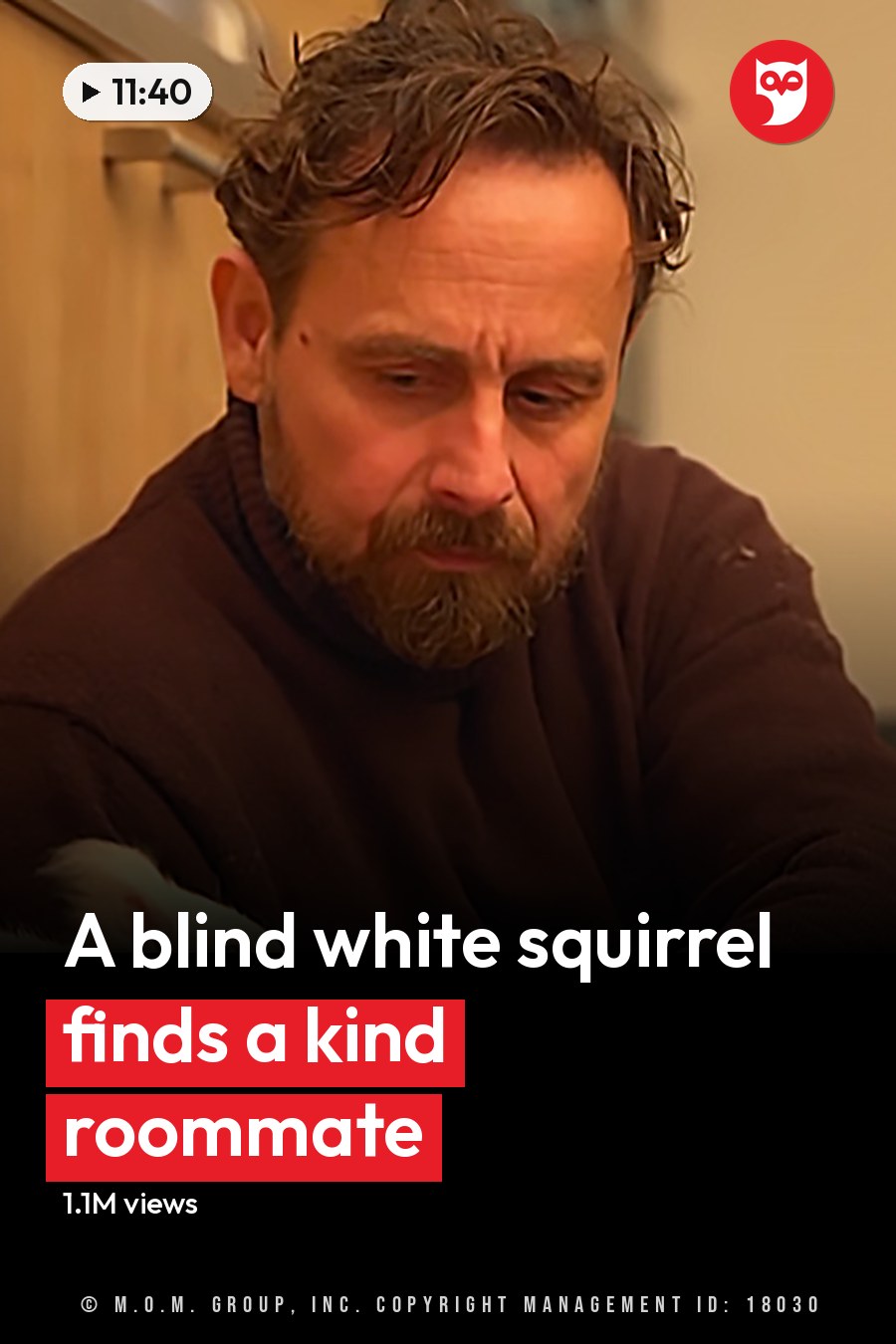 A middle-aged man interacts with a white guinea pig in a home setting, offering it a small piece of fruit. The scene is lit by natural daylight coming from an unseen window. The headline runs in white letters across the lower third.