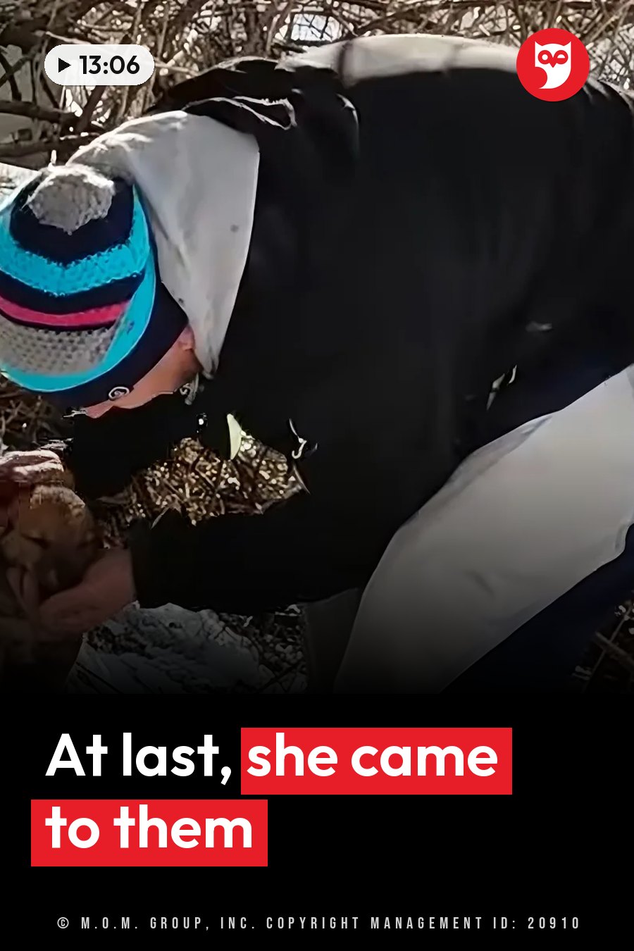 A person in a colorful hat and dark jacket bends down to hold a small animal near bare branches. A headline runs in white letters across the lower third.