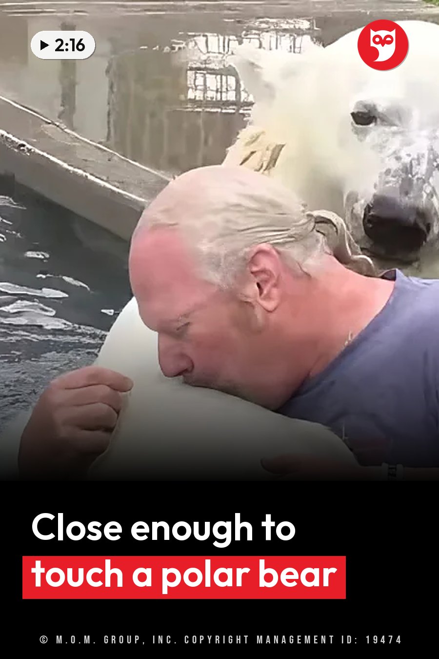A man leans against a polar bear beside the water, one hand resting on her white fur, while the bear looks ahead. A headline runs in white letters across the lower third.