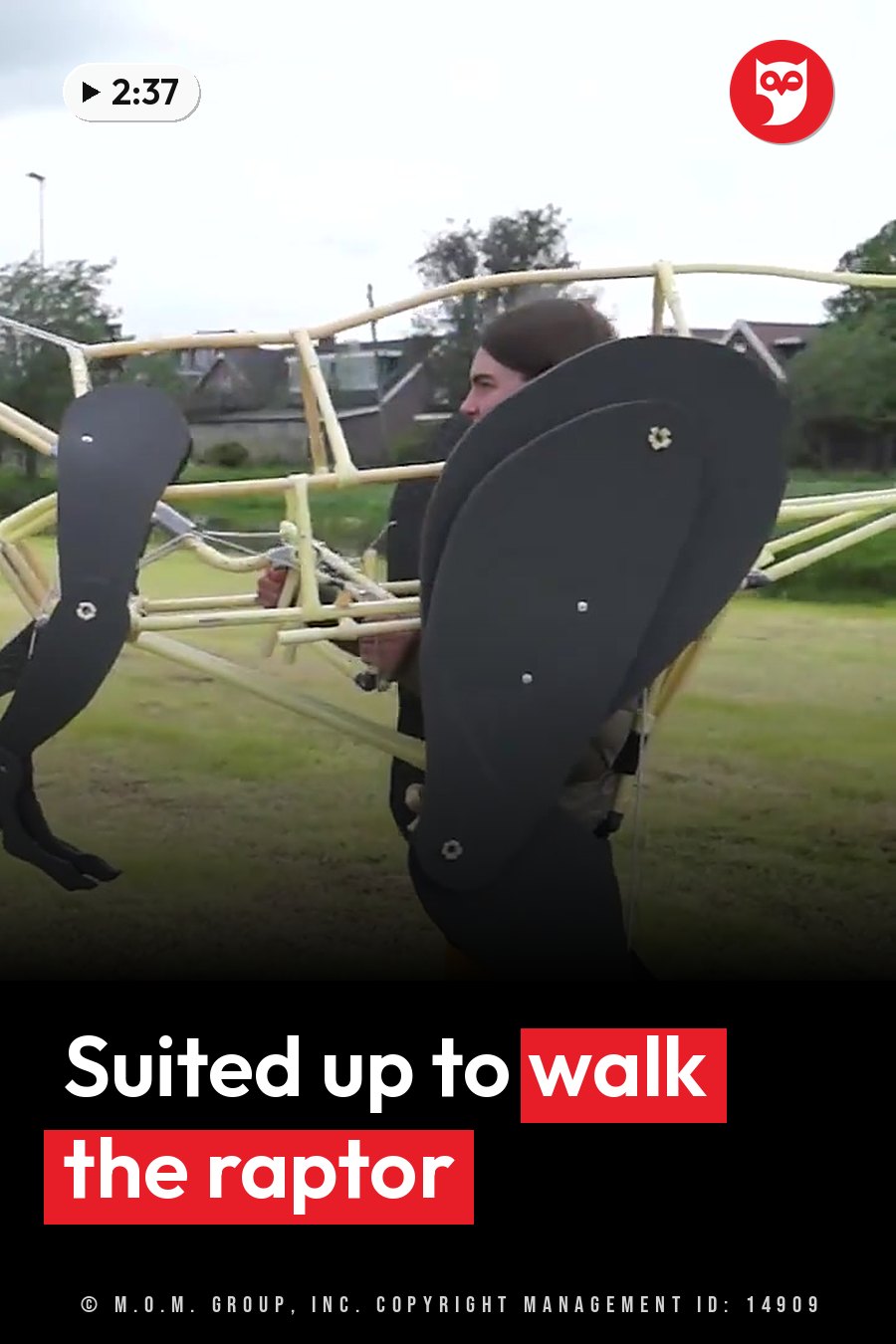 A person wearing black wing-like attachments stands on the grass beside a yellow frame. A headline runs in white letters across the lower third.