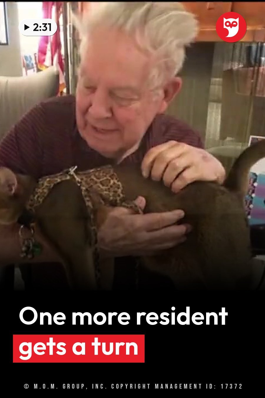 An elderly man gently holds and pets a small animal wearing a leopard-print harness. A headline runs in white letters across the lower third.