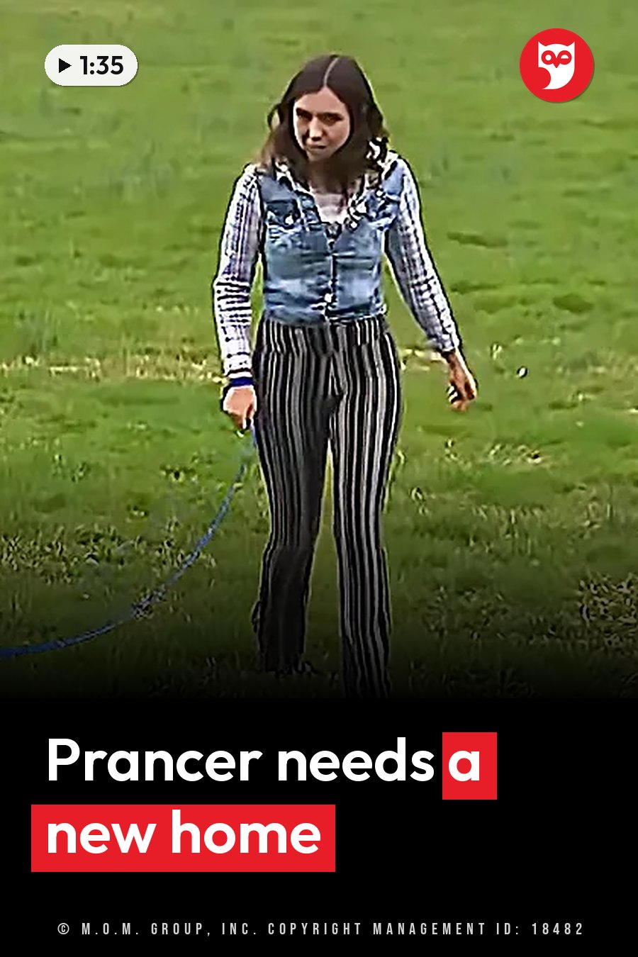 A person in striped pants and a denim vest over a plaid shirt walks across a grassy field holding a leash. A headline runs in white letters across the lower third.
