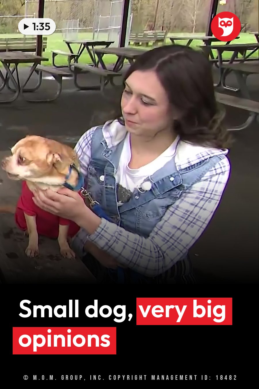 A woman sitting at an outdoor picnic table holds a small dog wearing a red shirt. A headline runs in white letters across the lower third.