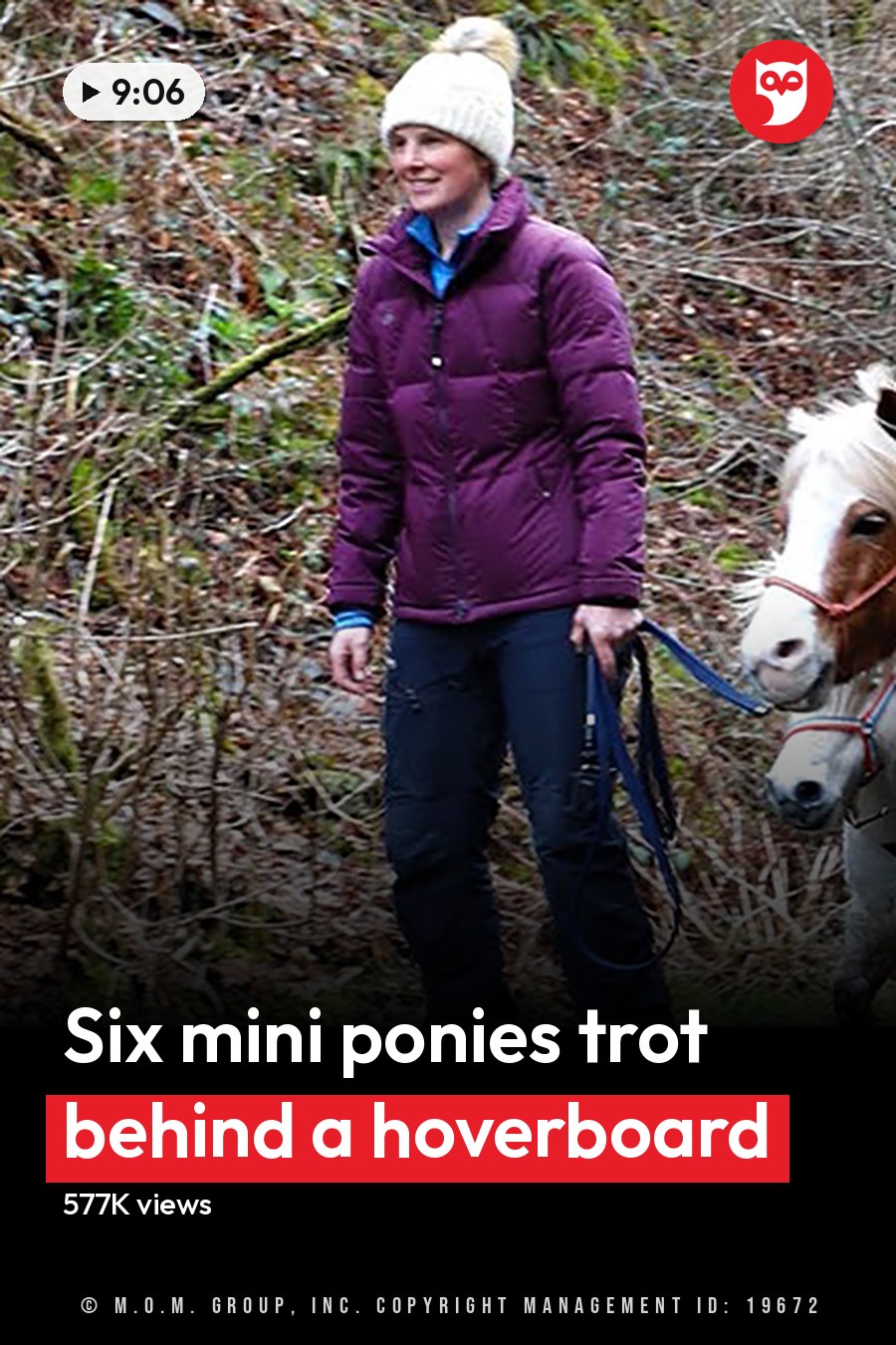 A woman rides a hoverboard with ponies through a rural road surrounded by trees during late autumn or early spring, wearing a purple puffer jacket and holding reins of one pony. The headline runs in white letters across the lower third.