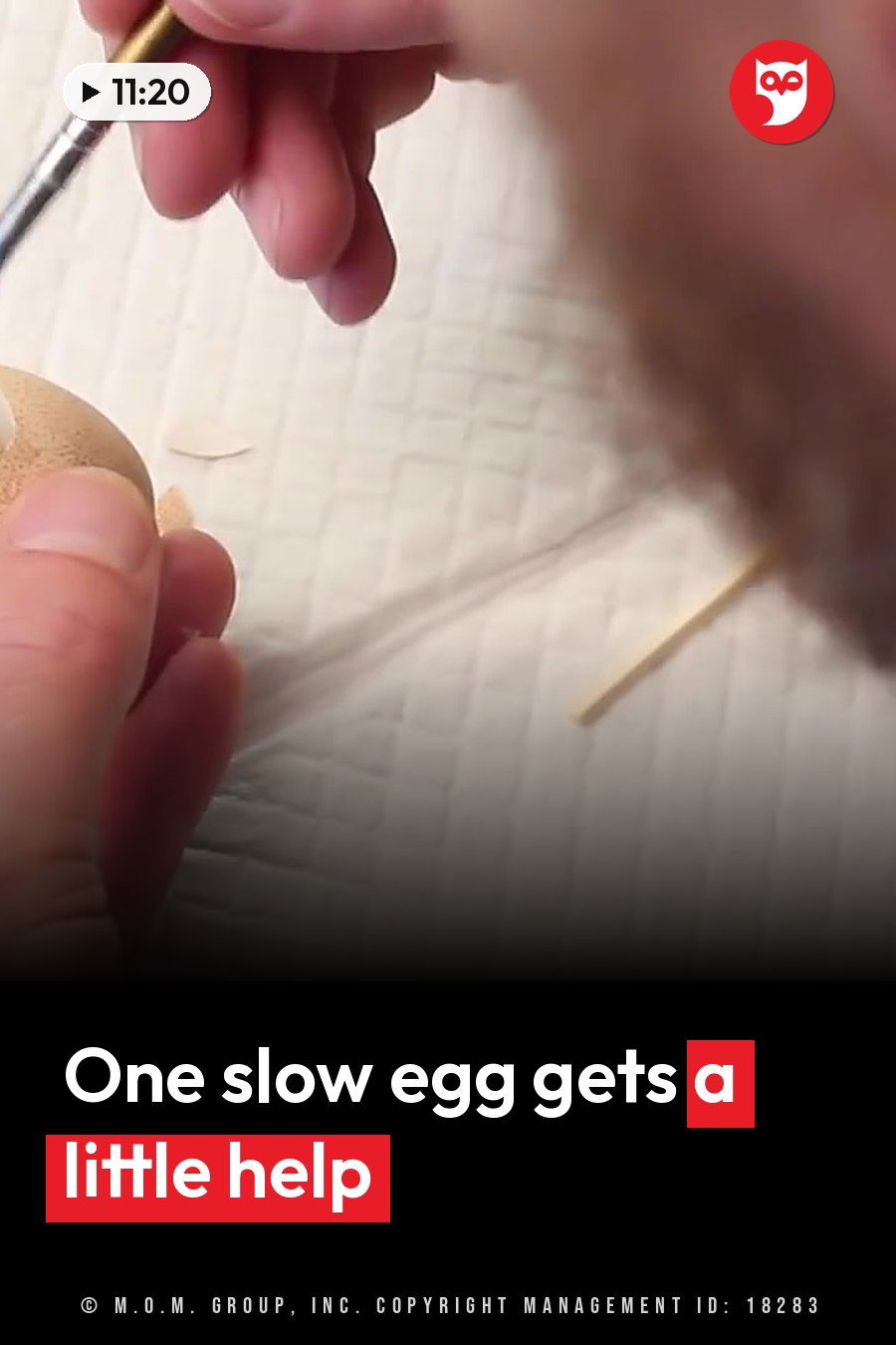 A hand holds a small brush near a small object on a white textured surface, with another stick nearby. A headline runs in white letters across the lower third.