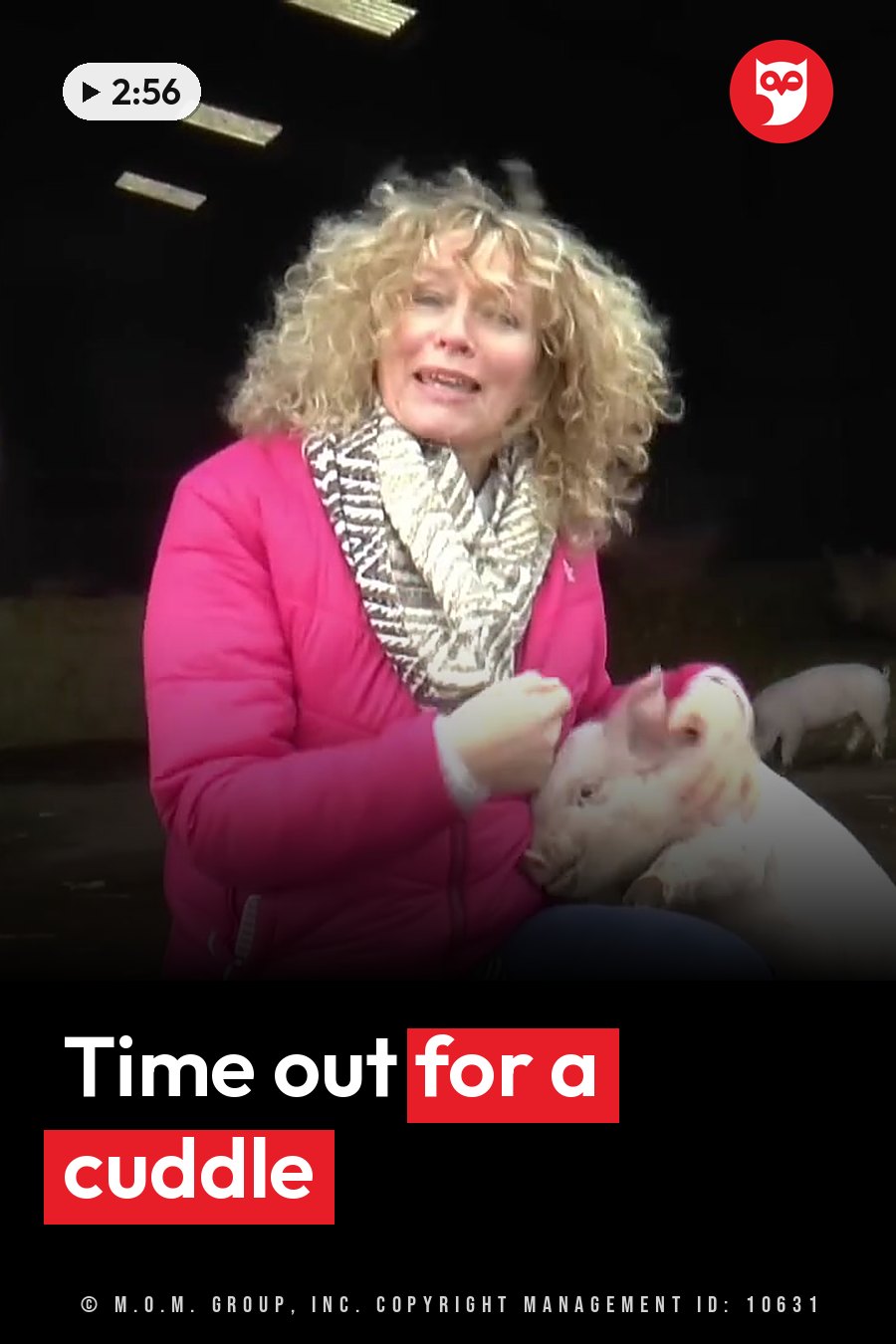 A woman with curly hair sits holding a small piglet while another pig walks nearby in dim light. A headline runs in white letters across the lower third.