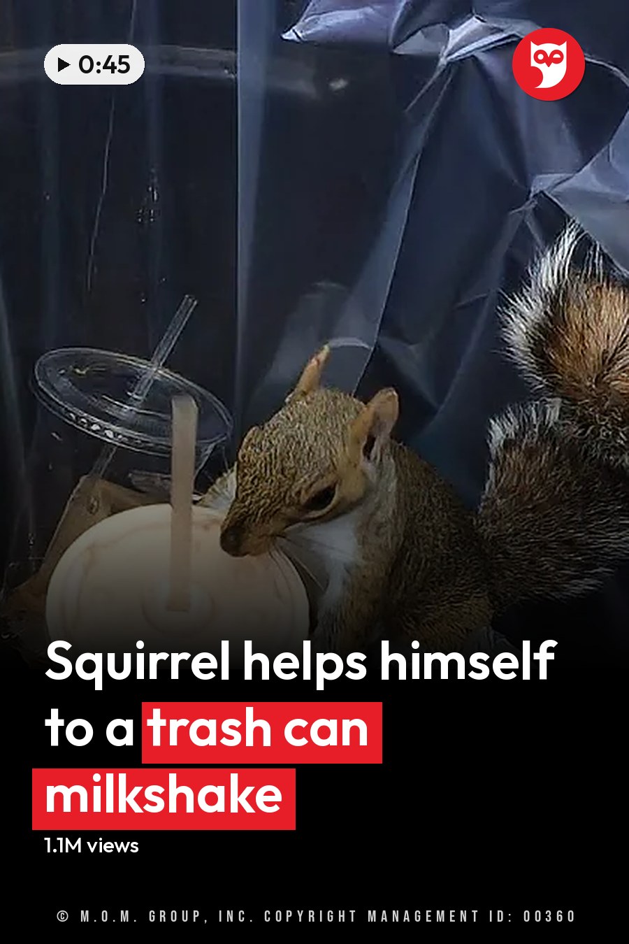 Squirrel drinks from a cup inside a trash can lined with plastic. The headline runs in white letters across the lower third.