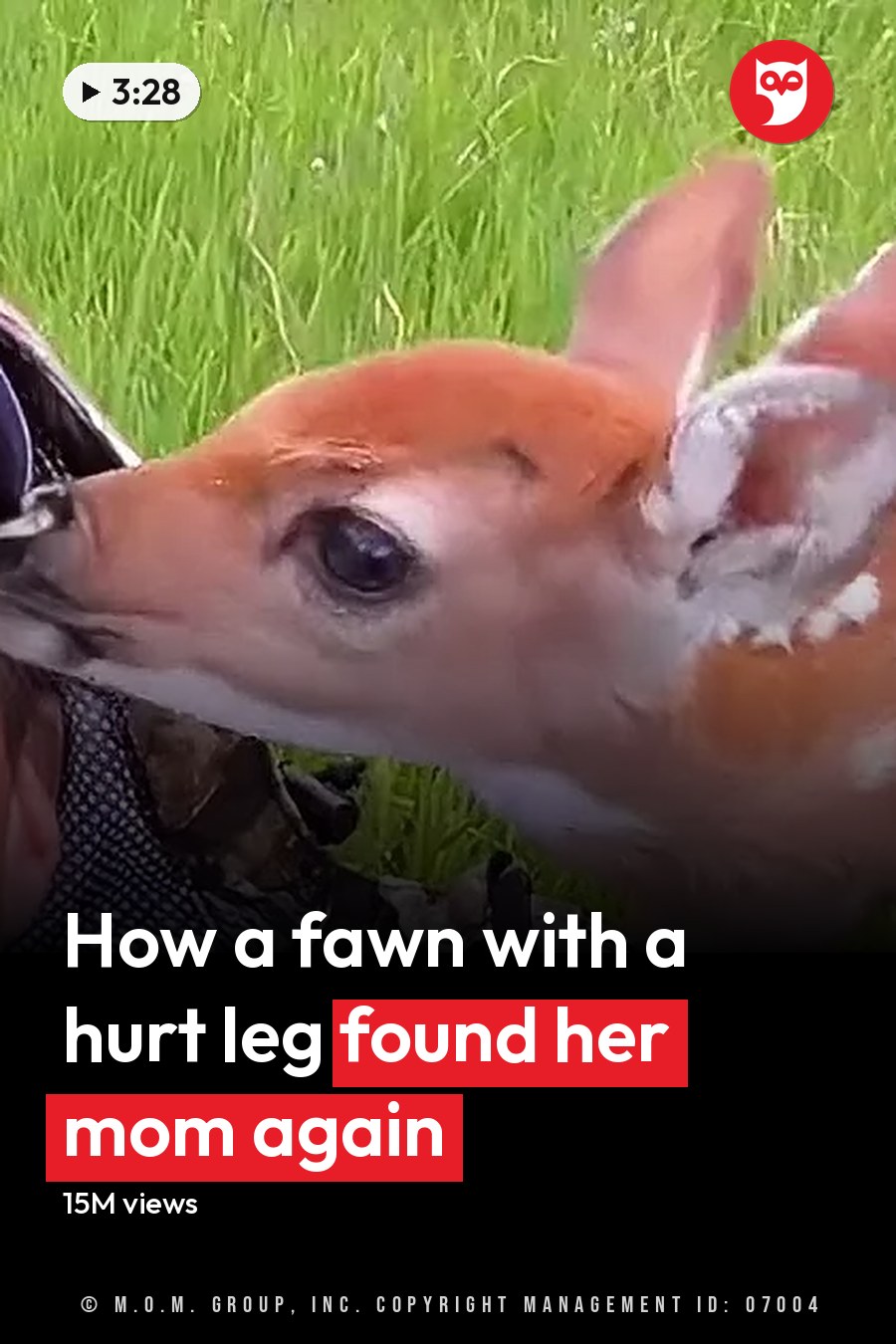 A man in a cap smiles as a fawn nuzzles his cheek in a grassy field. The headline runs in white letters across the lower third.