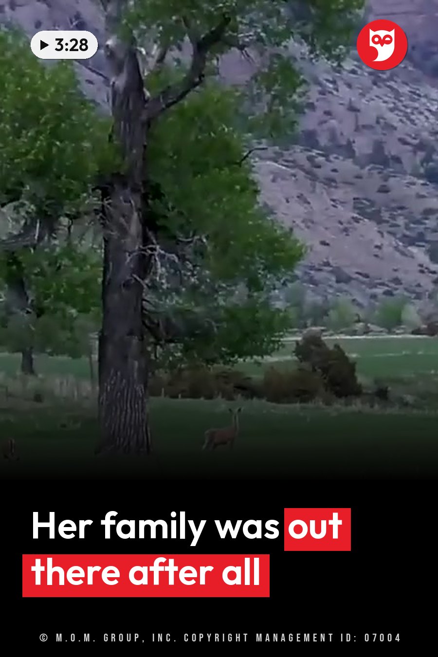 A deer stands near a tall tree in a grassy field with rocky hills behind it. A headline runs in white letters across the lower third.
