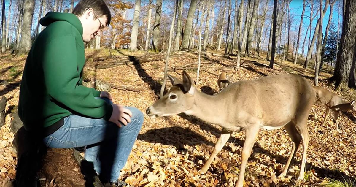 A white-tailed deer interacting with a young adult male wearing a green hoodie in an outdoor forested area during autumn, with fallen leaves and bare trees indicating the season.