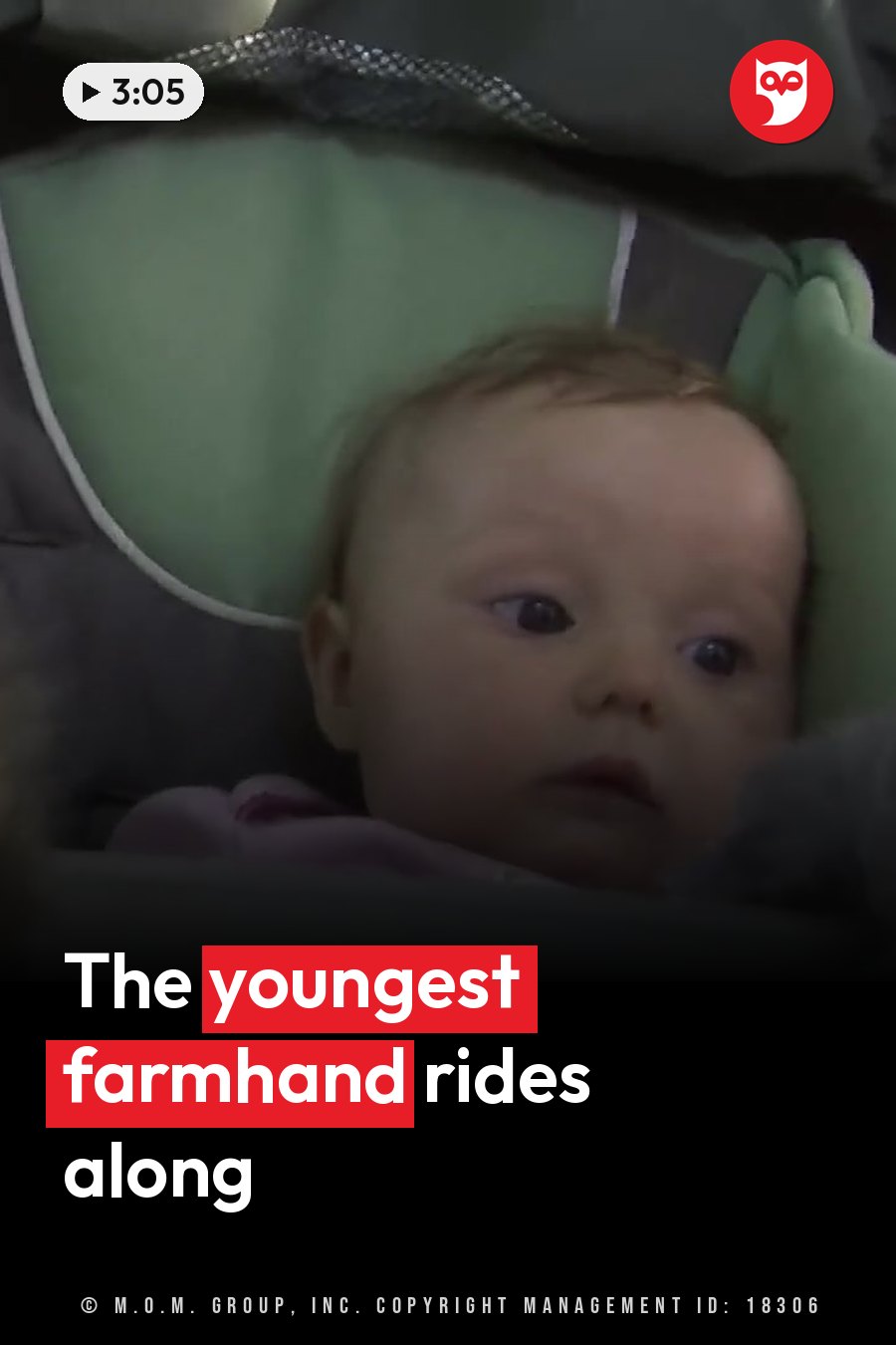 A baby with dark eyes lies in a green and gray stroller, looking forward. A headline runs in white letters across the lower third.