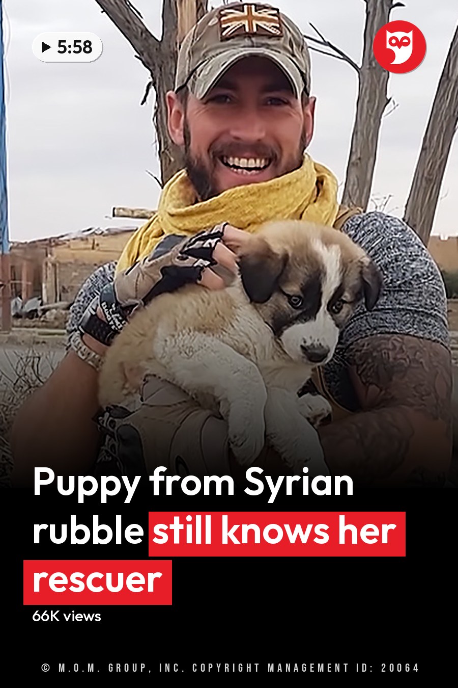An adult male holding a light brown and white puppy amidst damaged urban buildings, overcast late autumn or winter day with bare trees. The headline runs in white letters across the lower third.