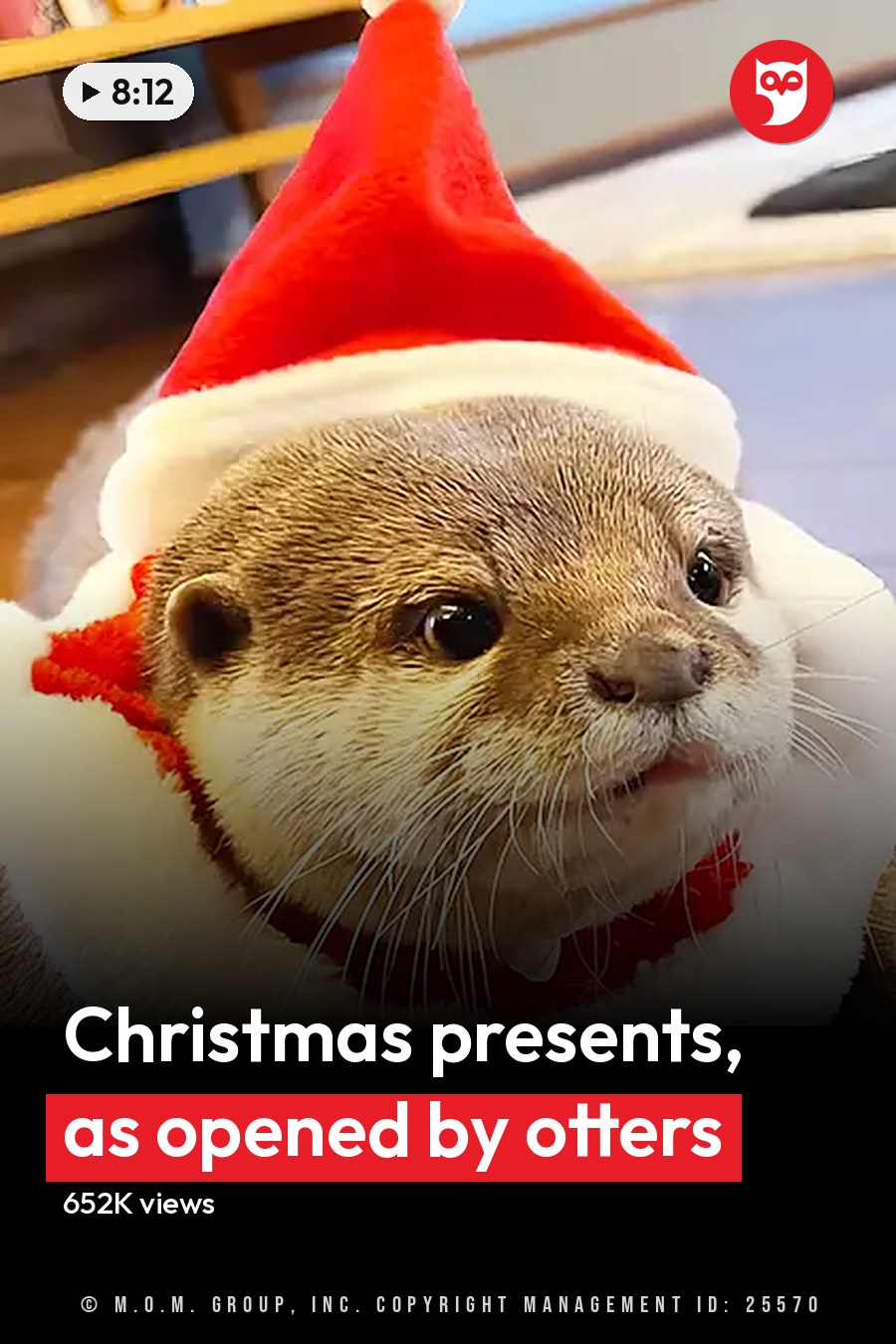 A juvenile otter wearing a red and white Santa hat with fluffy white rim in an indoor setting. Wrapped presents are visible to the right, suggesting a Christmas theme. The headline runs in white letters across the lower third.