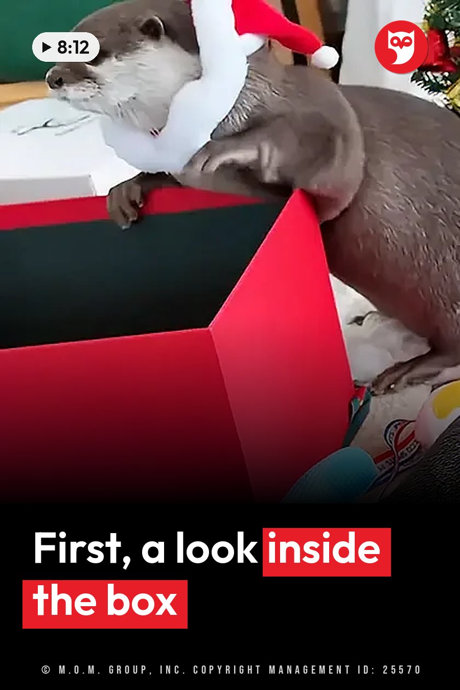 An otter wearing a Santa hat peers over the edge of a red box with a black stripe. A headline runs in white letters across the lower third.