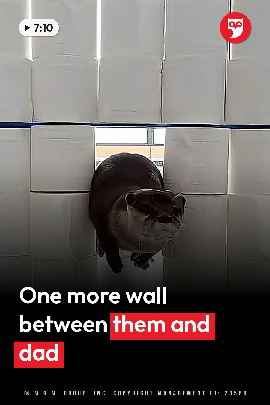 A dark-furred otter peers through a gap in a wall of stacked white blocks. A headline runs in white letters across the lower third.