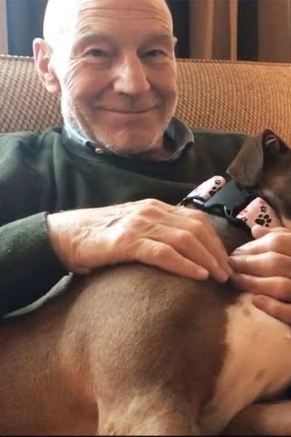 An older adult male in a dark green sweater, seated indoors in a living room with a boxer dog beside him; light-colored sofa, lamp, natural daylight;