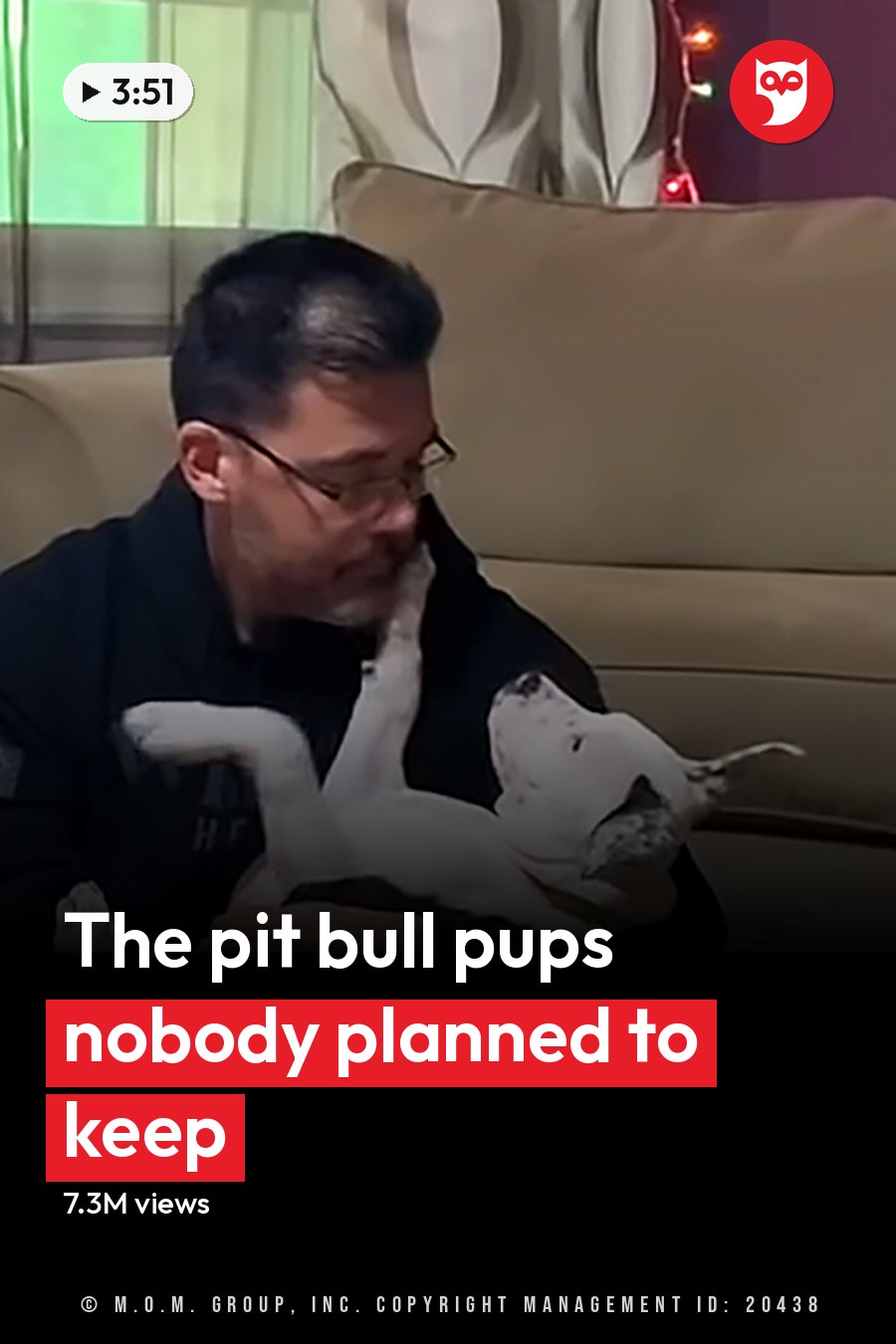 An adult male interacting with puppies in two different indoor settings: one showing a brick wall and fan, the other with a beige couch with patterned cushions and string lights. The headline runs in white letters across the lower third.