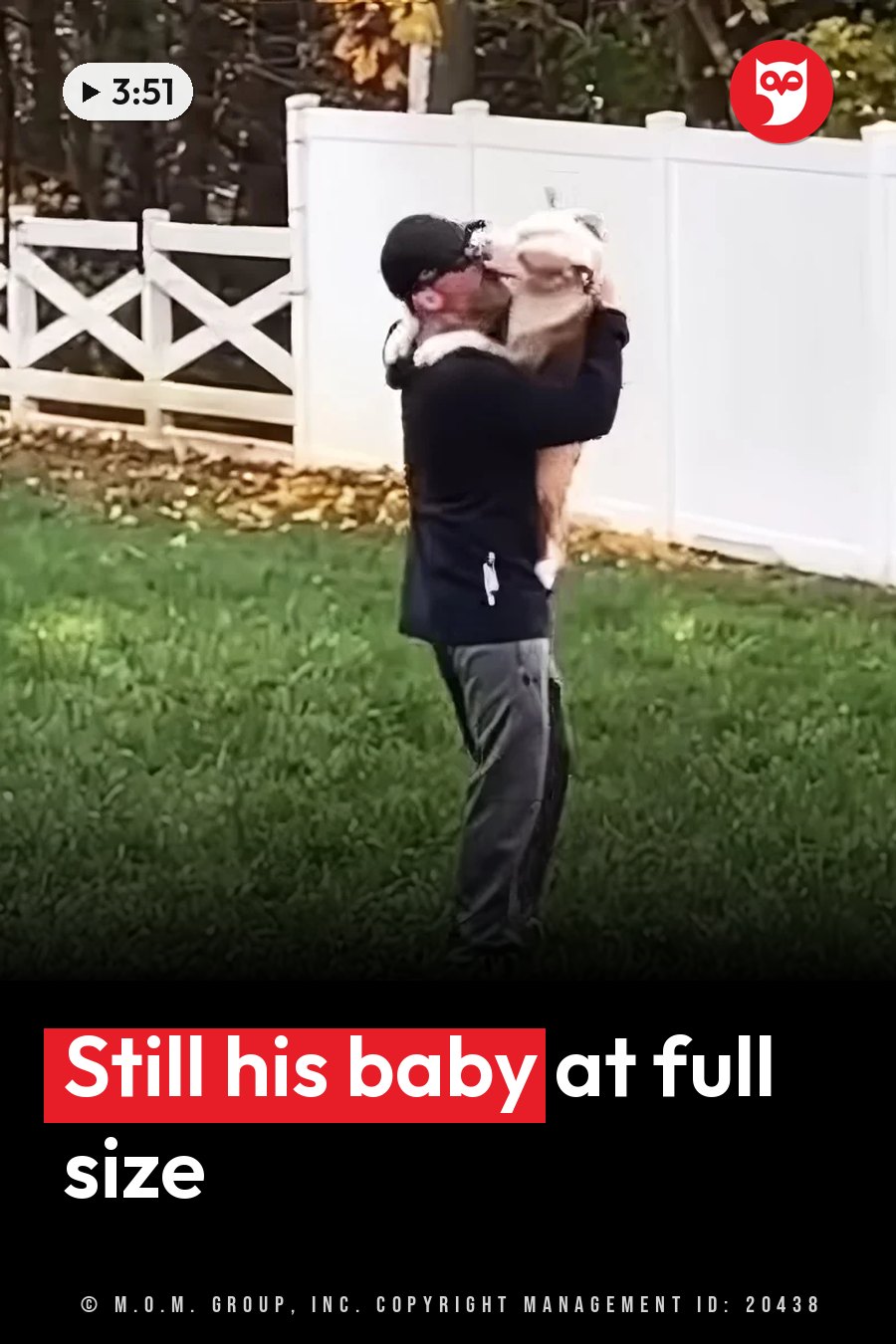 A man holds a dog up high and kisses the dog's head outdoors, near a white fence and grass. A headline runs in white letters across the lower third.