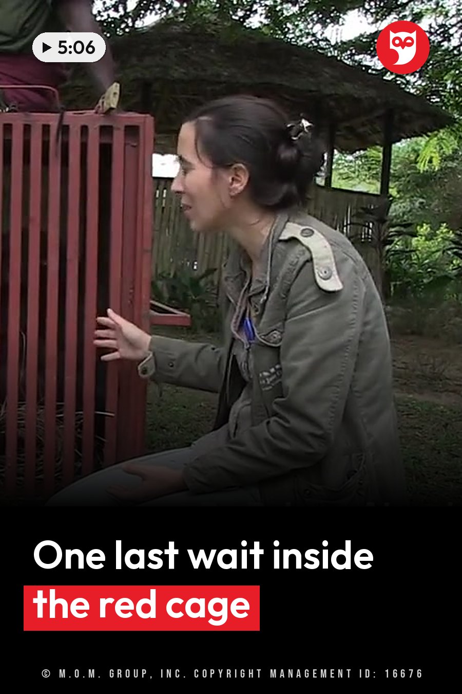A woman in a green jacket kneels beside a red metal cage outdoors, near leafy plants and a thatched roof. A headline runs in white letters across the lower third.