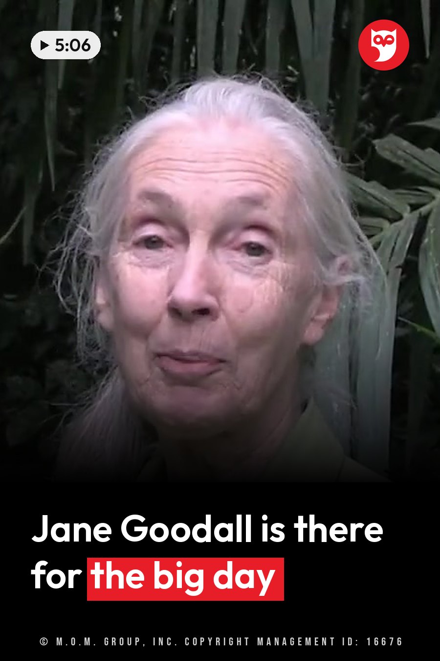 Jane Goodall, her hair white, stands outdoors facing forward with green leaves behind her. A headline runs in white letters across the lower third.