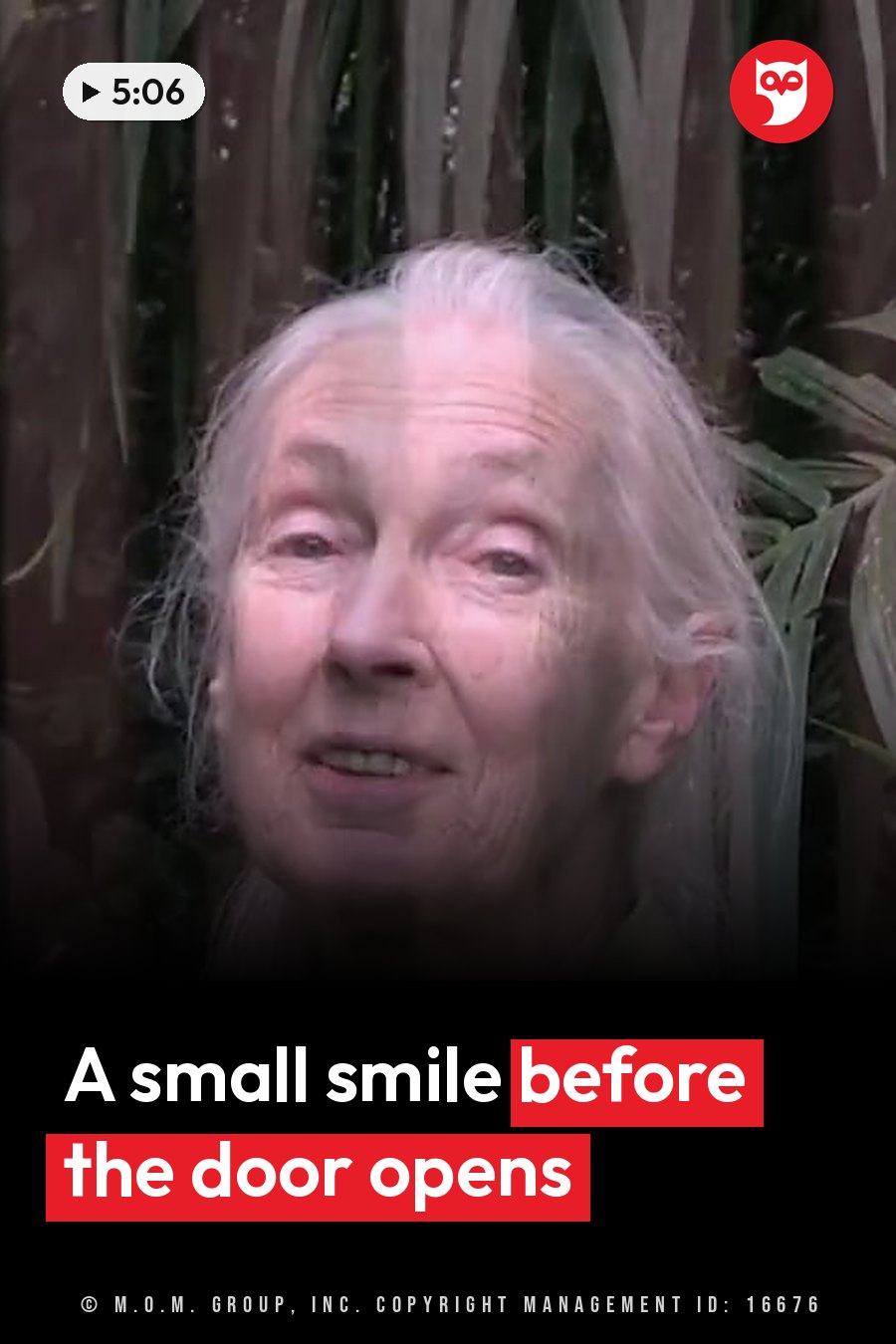 Jane Goodall smiles slightly as she stands outdoors near green plants and a wooden fence. A headline runs in white letters across the lower third.