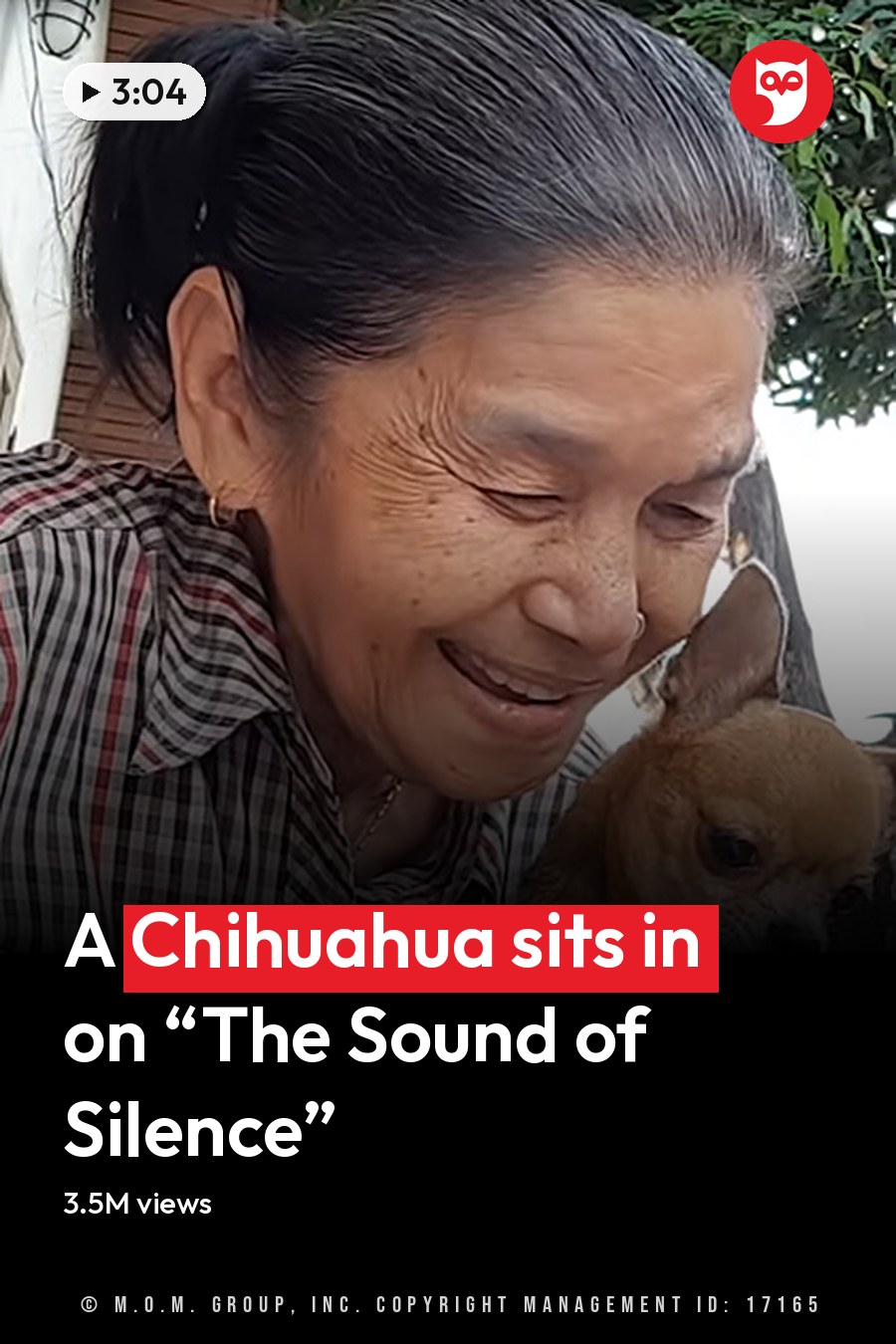 An older adult female playing guitar with a Chihuahua on an outdoor patio at dusk, surrounded by greenery and a decorative concrete wall. The headline runs in white letters across the lower third.