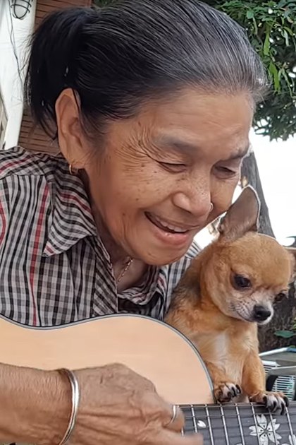 An older adult female playing guitar with a Chihuahua on an outdoor patio at dusk, surrounded by greenery and a decorative concrete wall.
