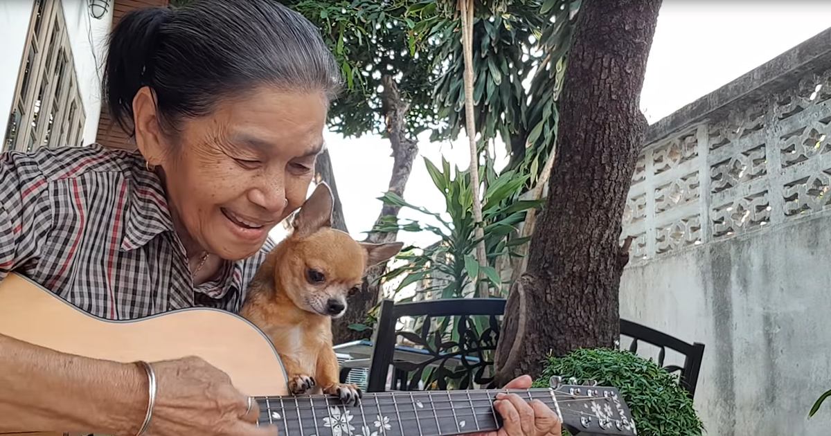 An older adult female playing guitar with a Chihuahua on an outdoor patio at dusk, surrounded by greenery and a decorative concrete wall.