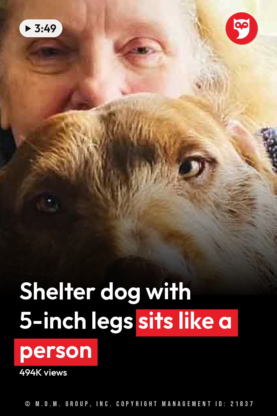 An older adult female wearing a dark-colored, textured sweater indoors with a brown and white dog. A blue tumbler with a straw is on a table nearby. The headline runs in white letters across the lower third.