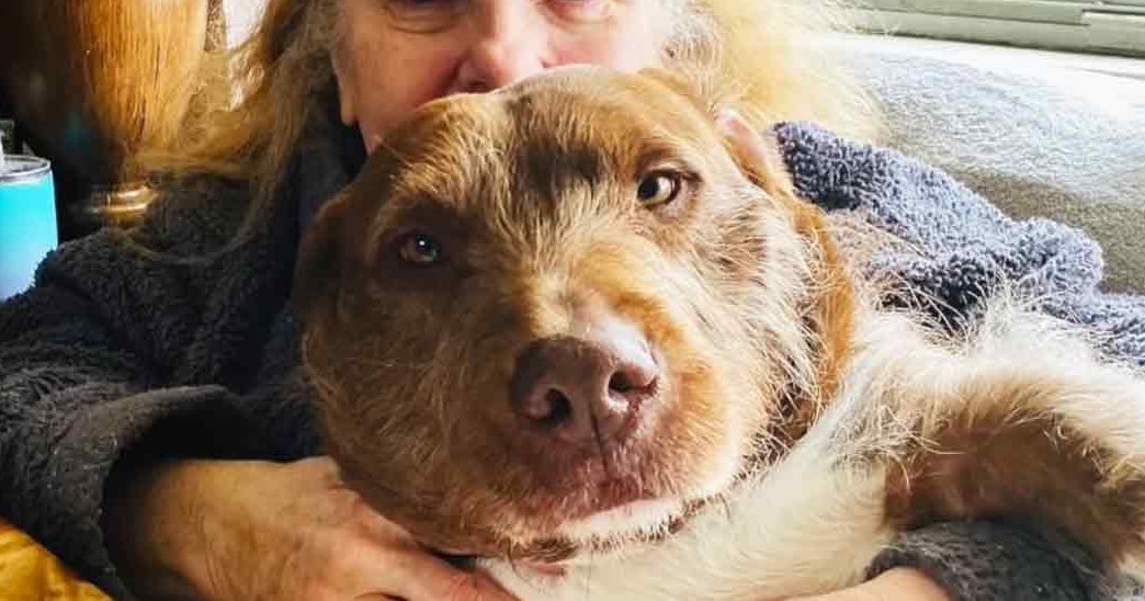 An older adult female wearing a dark-colored, textured sweater indoors with a brown and white dog. A blue tumbler with a straw is on a table nearby.