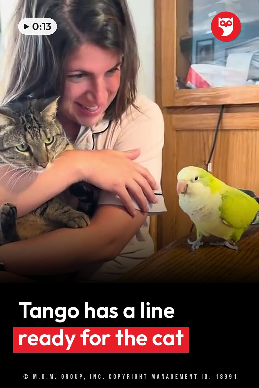 A green parrot perches on a wooden surface near a woman who holds a cat in her arms. A headline runs in white letters across the lower third.