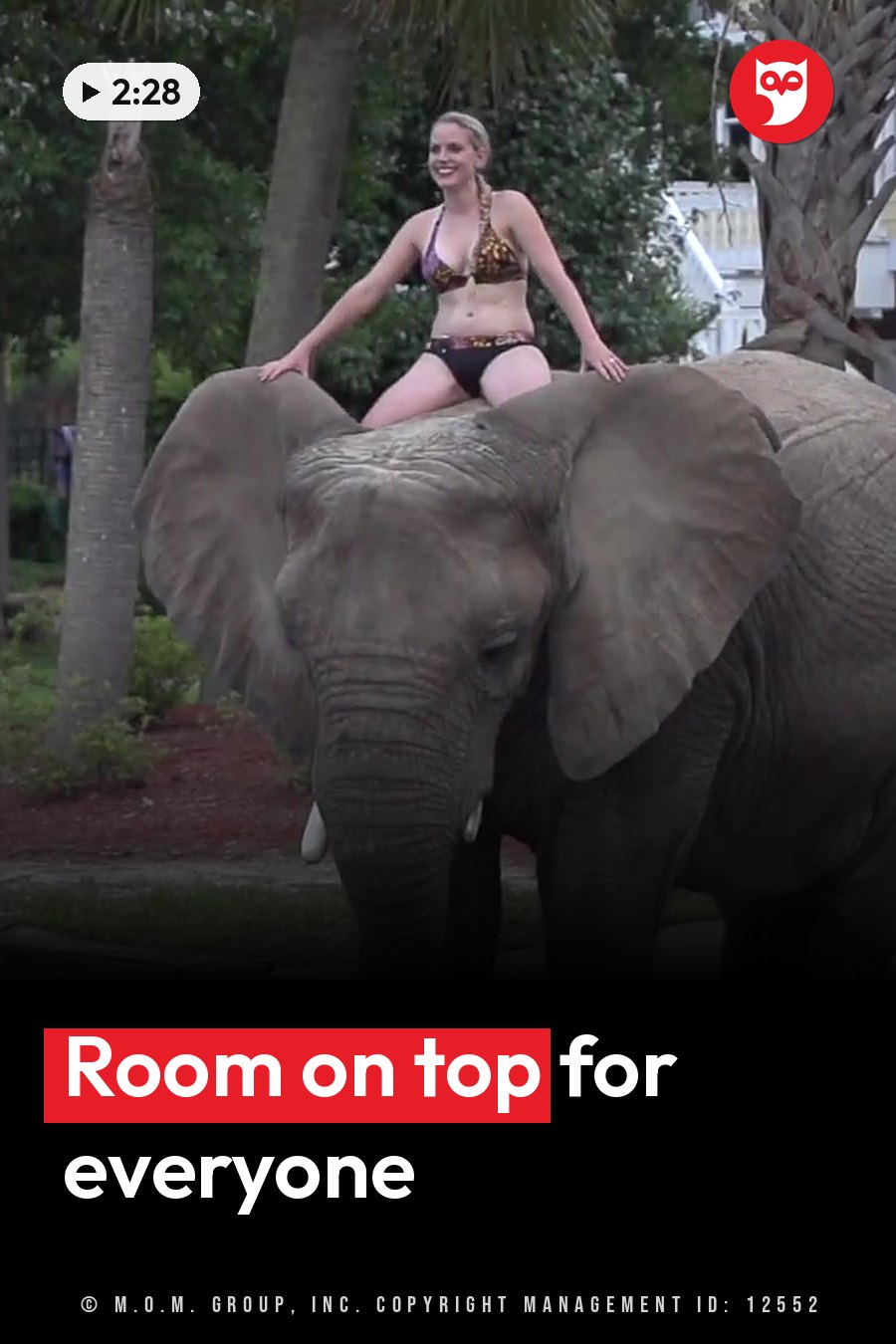 A smiling woman in a bikini sits on top of an elephant with large ears and tusks, holding onto its back. A headline runs in white letters across the lower third.
