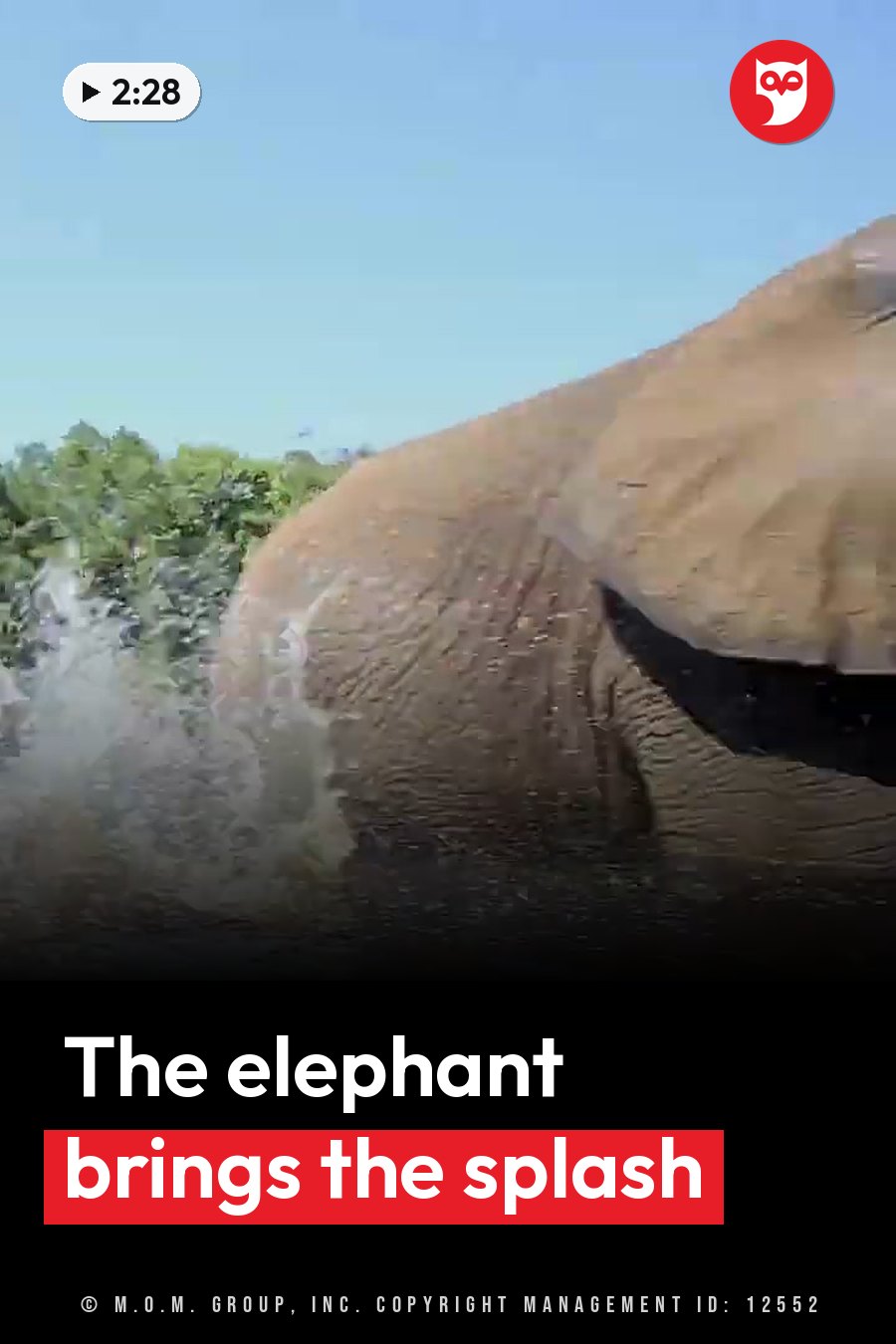 An elephant splashes water with its trunk near green trees under a clear blue sky. A headline runs in white letters across the lower third.