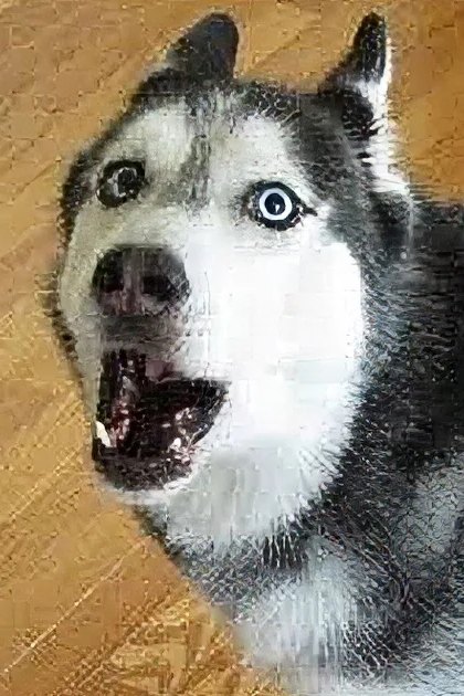 A Siberian Husky with striking blue eyes stands indoors on a wooden floor in natural daylight.
