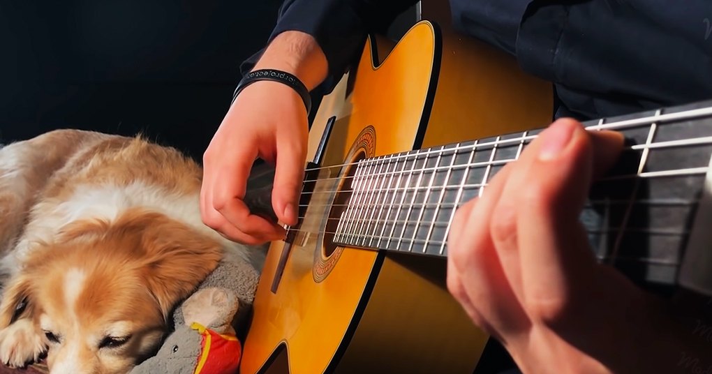 An adult male playing a yellow acoustic guitar with a golden retriever nearby, in an indoor setting during evening or night.